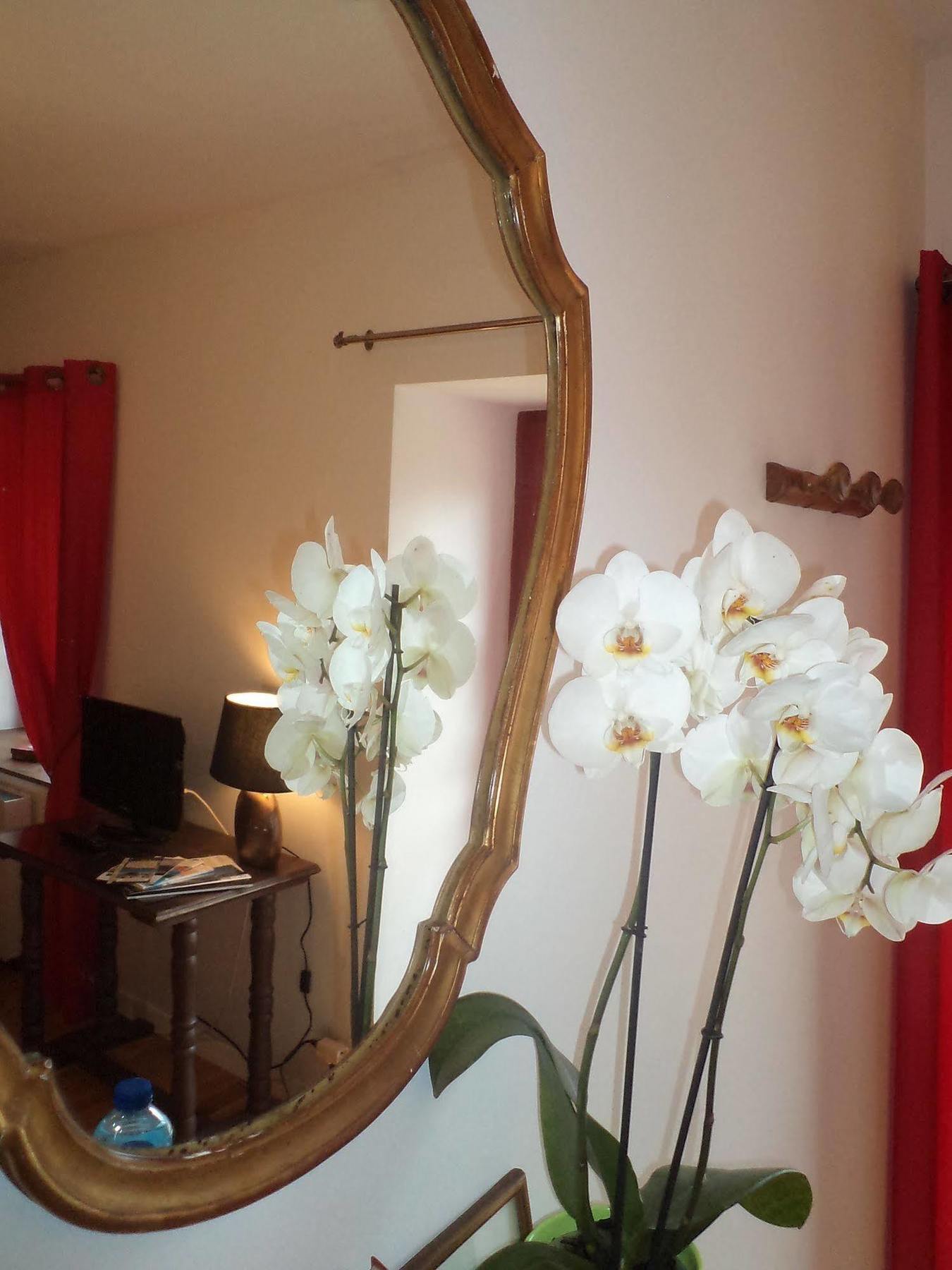 콩브리 La Ferme De Kerraoul B&B 외부 사진